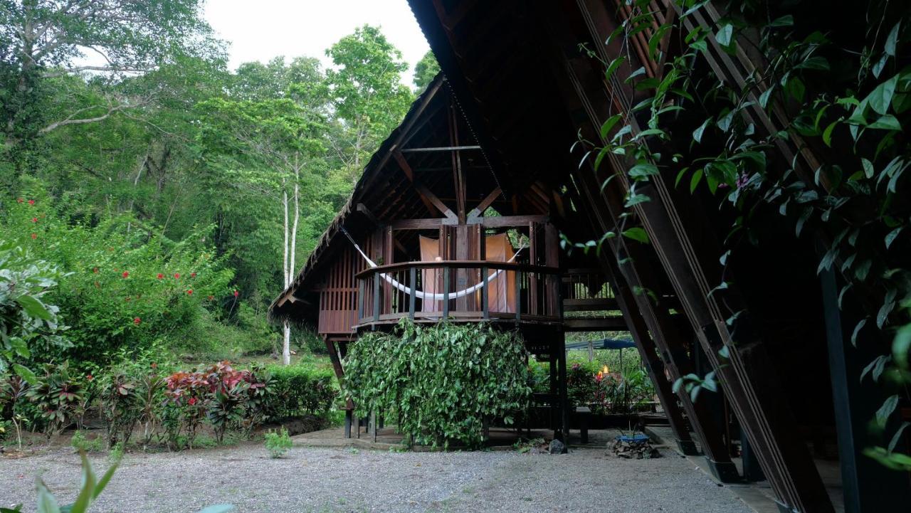 La Kuka Hotel - Nuquí Exteriér fotografie