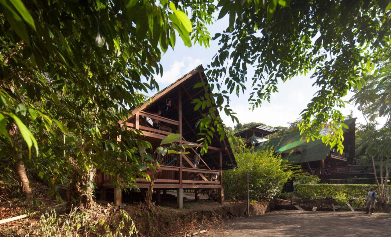 La Kuka Hotel - Nuquí Exteriér fotografie