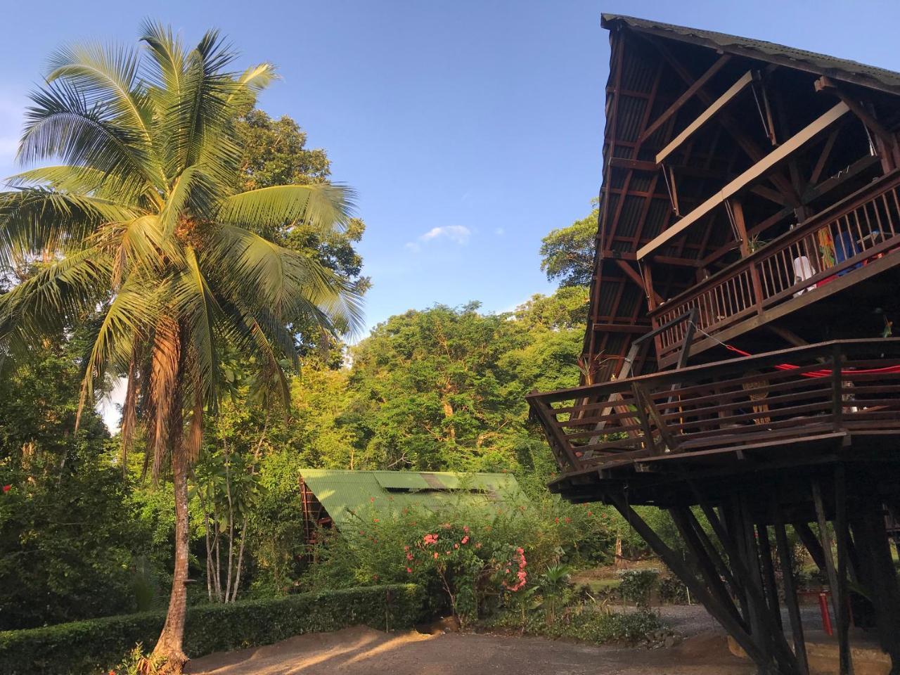 La Kuka Hotel - Nuquí Exteriér fotografie